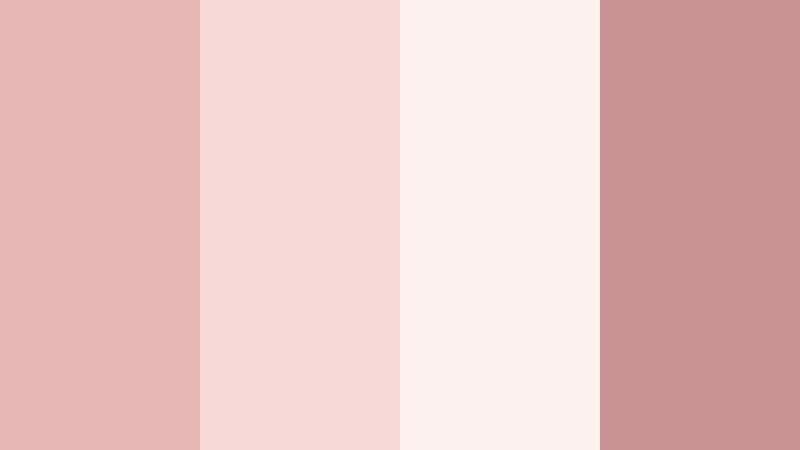 blush evening whisper faded rose color palette with hex codes