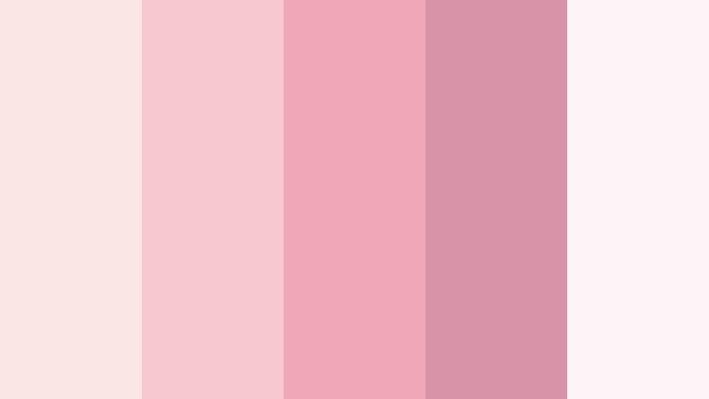 blush lace morning warm blush color palette with hex codes