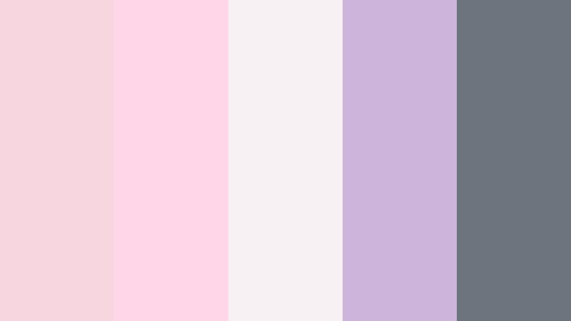 blush loop reels color palette color palette with hex codes