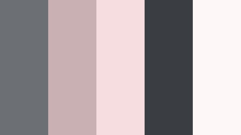 blush meteor evening meteor gray color palette with hex codes