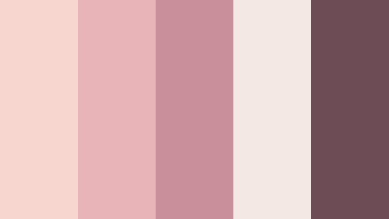 blush runway mist fashion video color color palette with hex codes