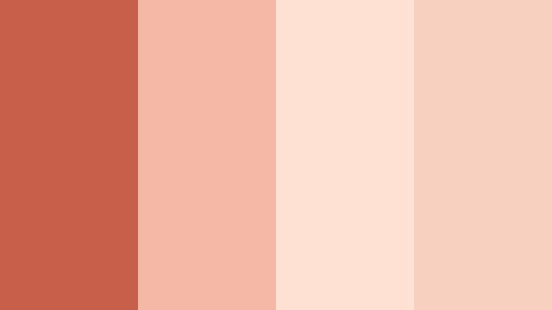 blush terra studio terracotta rose color palette with hex codes