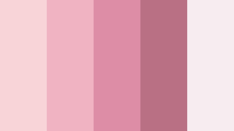blush velvet dream warm blush color palette with hex codes