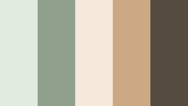 boutique cafe branding sage green and beige cafe color color palette with hex codes
