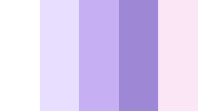 boutique patisserie signage lavender and white bakery color color palette with hex codes
