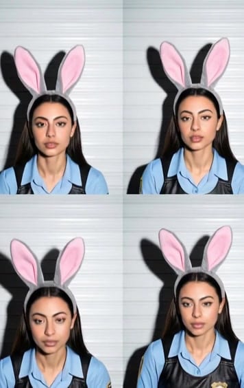 bunny four grid photo