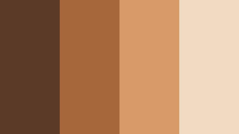 burnt umber roll film grain brown color palette with hex codes