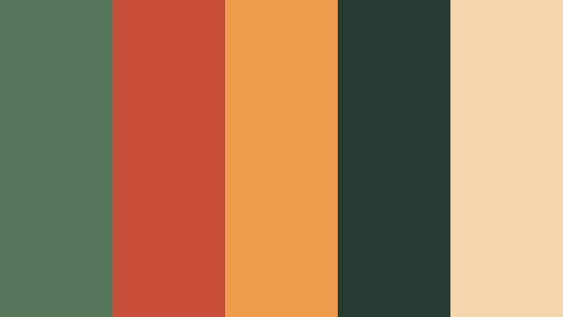 cactus ember sage green and terracotta home decor store color color palette with hex codes