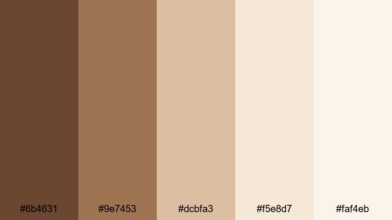 cafe window light coffee brown color palette with hex codes