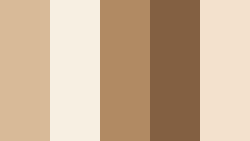 cafe window light light mocha color palette with hex codes