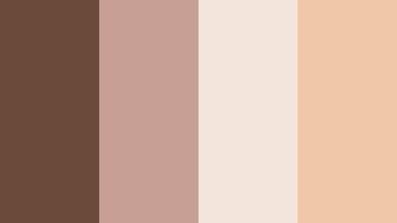 cafe window light soft cocoa brown color palette with hex codes