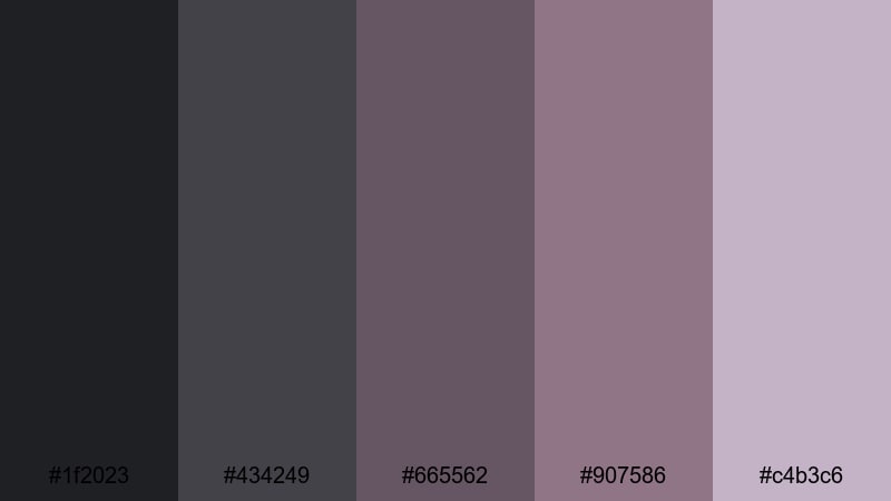 calm interface noir gray maroon color palette with hex codes