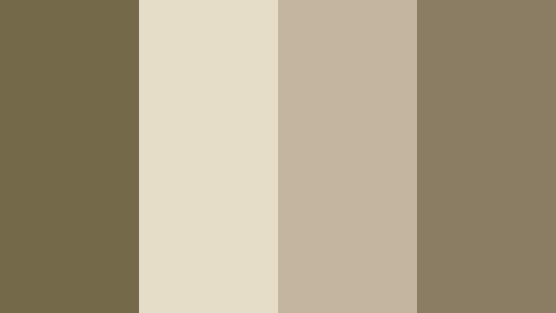 calm studio clay olive clay color palette with hex codes