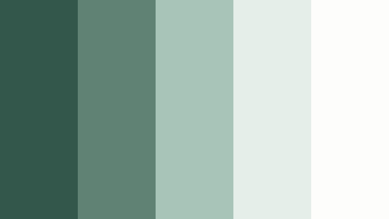 calm studio desk moss jade color palette with hex codes