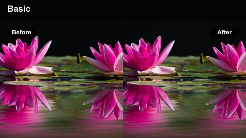 Model posing in a striking outfit against a bold colored backdrop