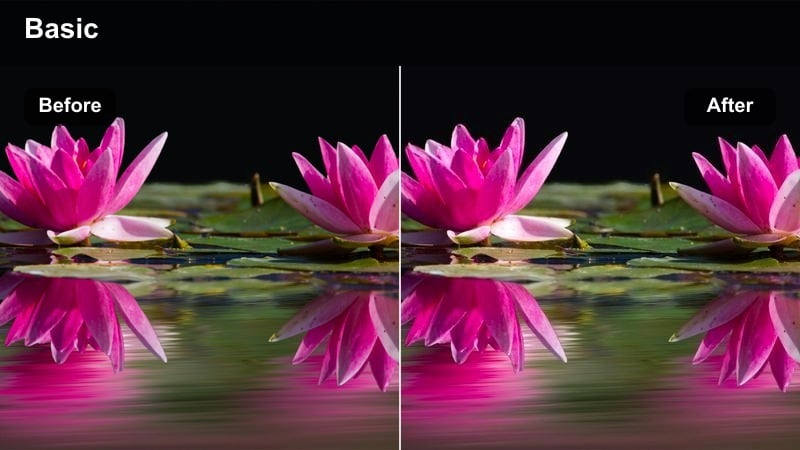 Two students walking across a sunlit campus courtyard with warm tones.