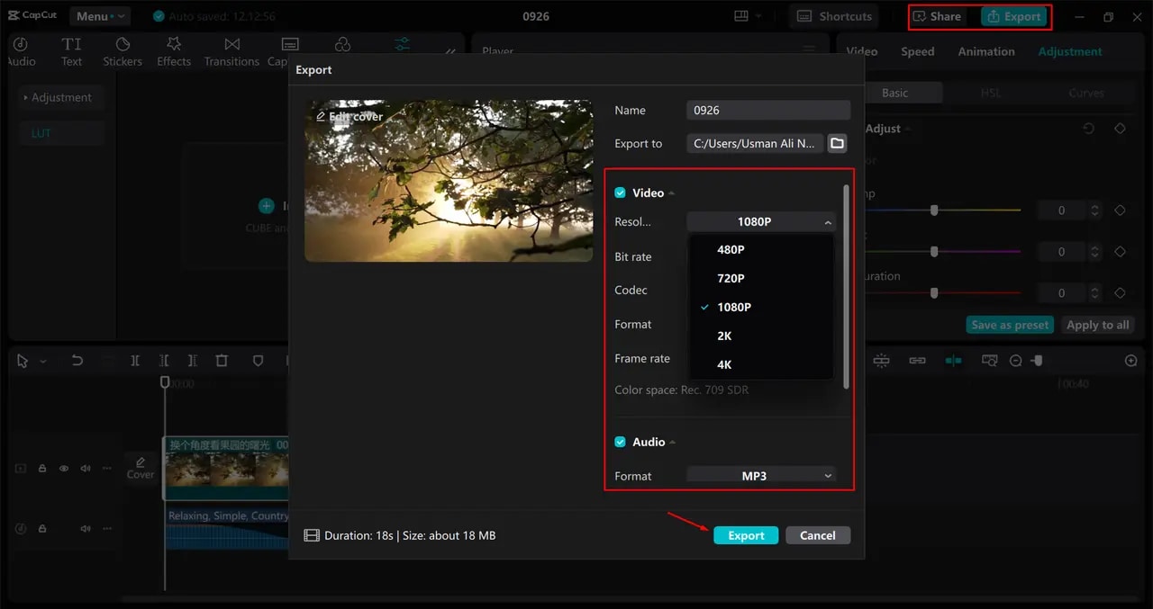 capcut luts export