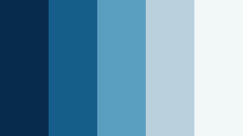 capital current blue and silver financial advisor color color palette with hex codes