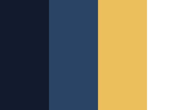 card key minimal luxe navy blue and gold hotel color color palette with hex codes