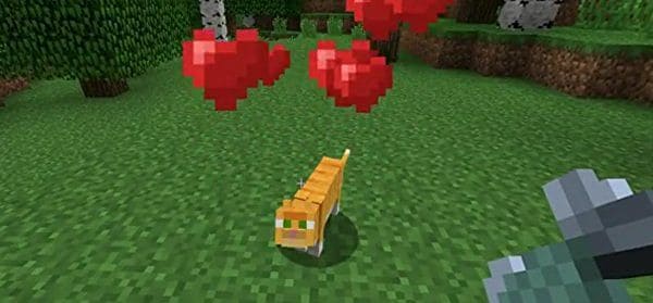 Minecraft - Como domar um gato no jogo