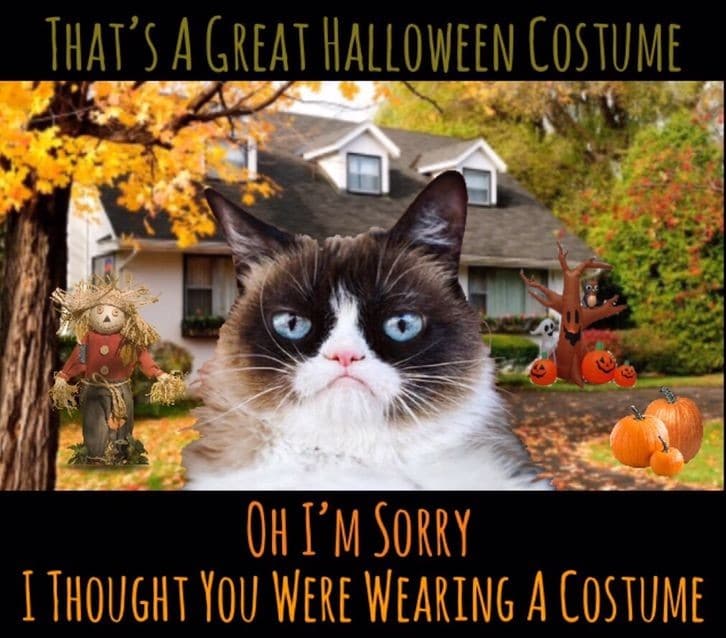 grumpy cat halloween