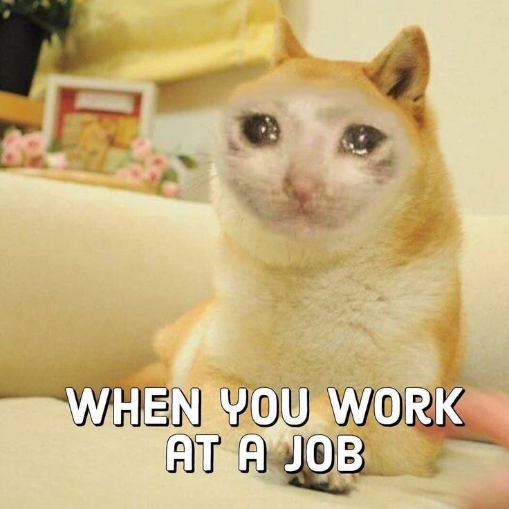 share generate meme