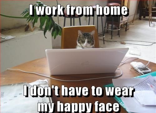 working from home life