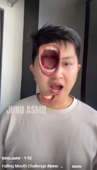 falling mouth challenge