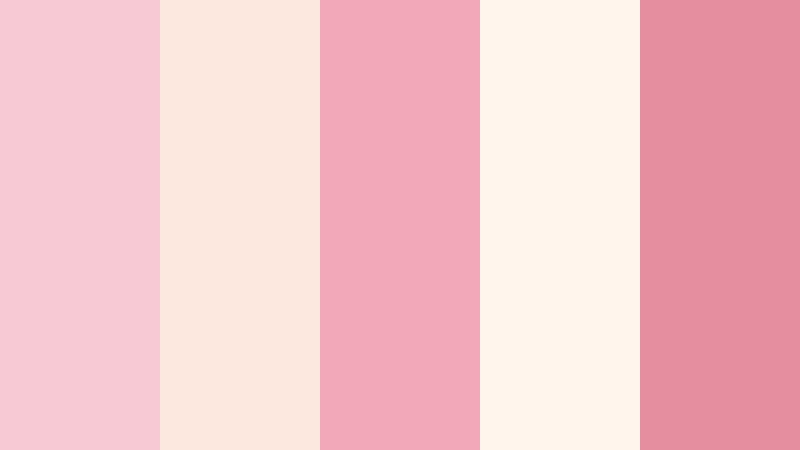 champagne truffle box pink and cream bakery color color palette with hex codes