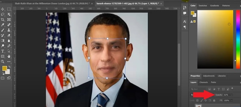 paste the face selection