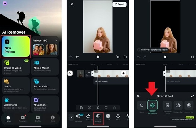 apply Filmora Smart Cutout on iOS