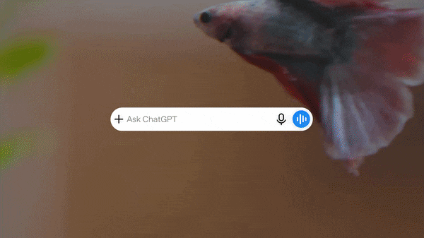multi turn editing in chatgpt images 2.5