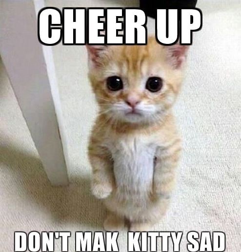 25 Cute Memes To Make You Feel Better