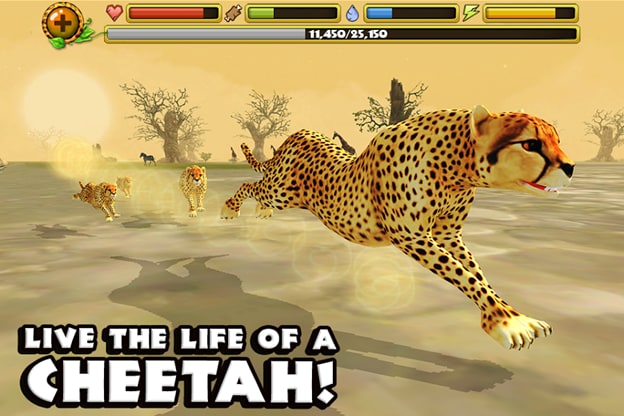 cheetah-sim