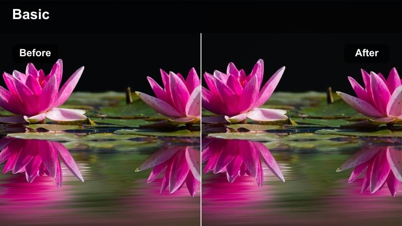 Black-and-white studio fashion portrait with strong contrast.