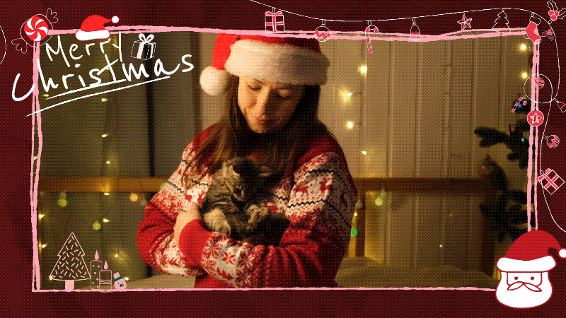 filmora christmas ornaments border