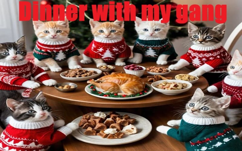 cat memes eating dinner with gangs