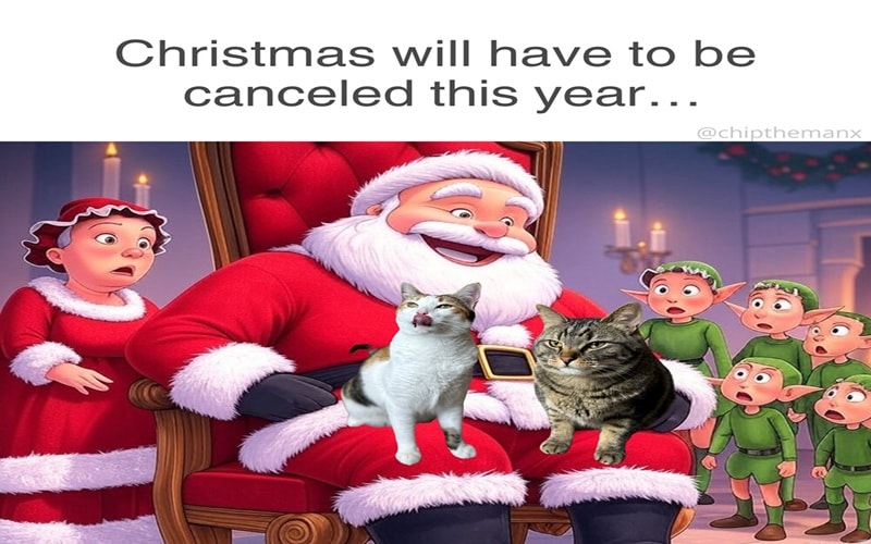 christmas cat memes santa petting cat