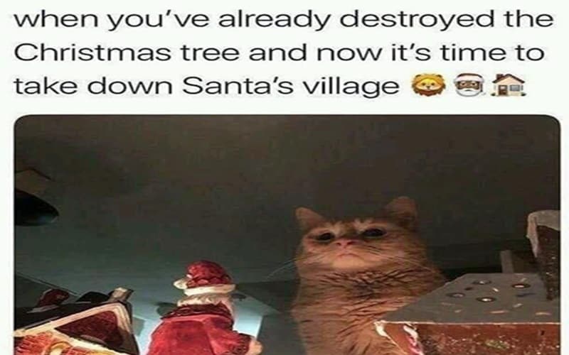 christmas cat memes destroying village