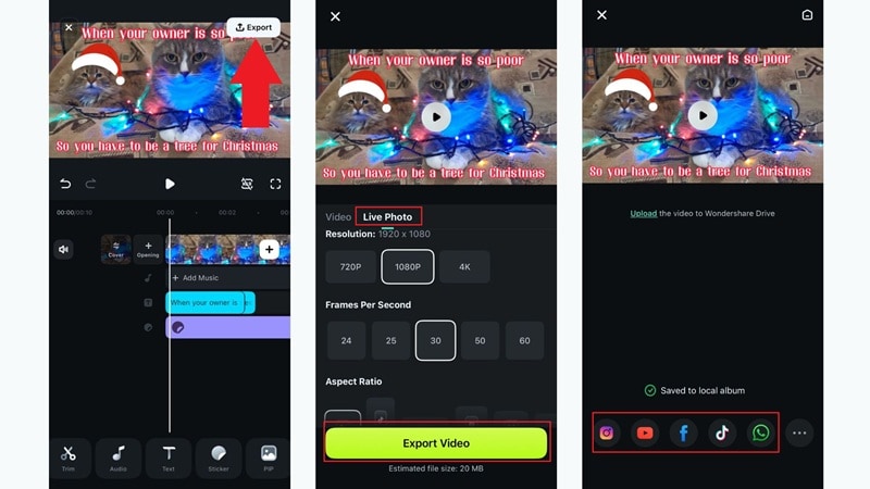 save your meme as live photo