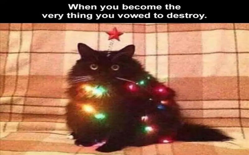 cat memes becoming christmas tree