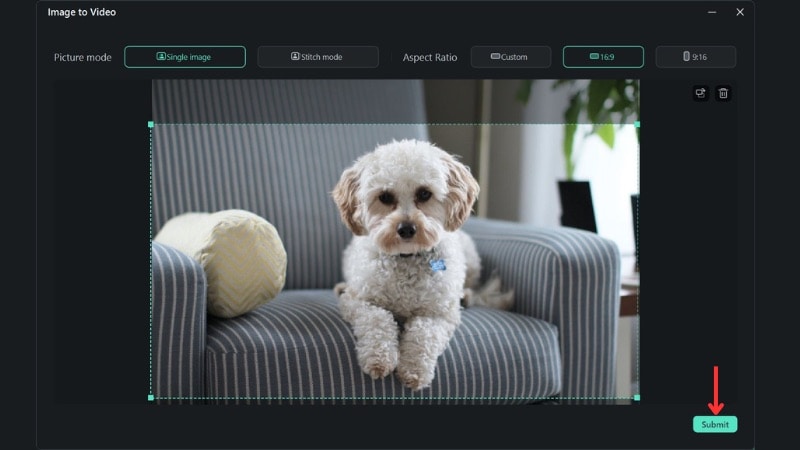 adjust pet photo before generating
