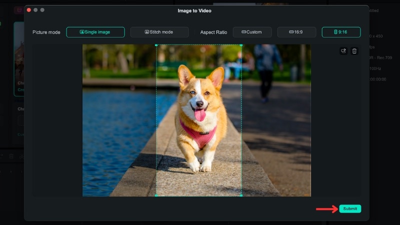 crop and adjust pet photo
