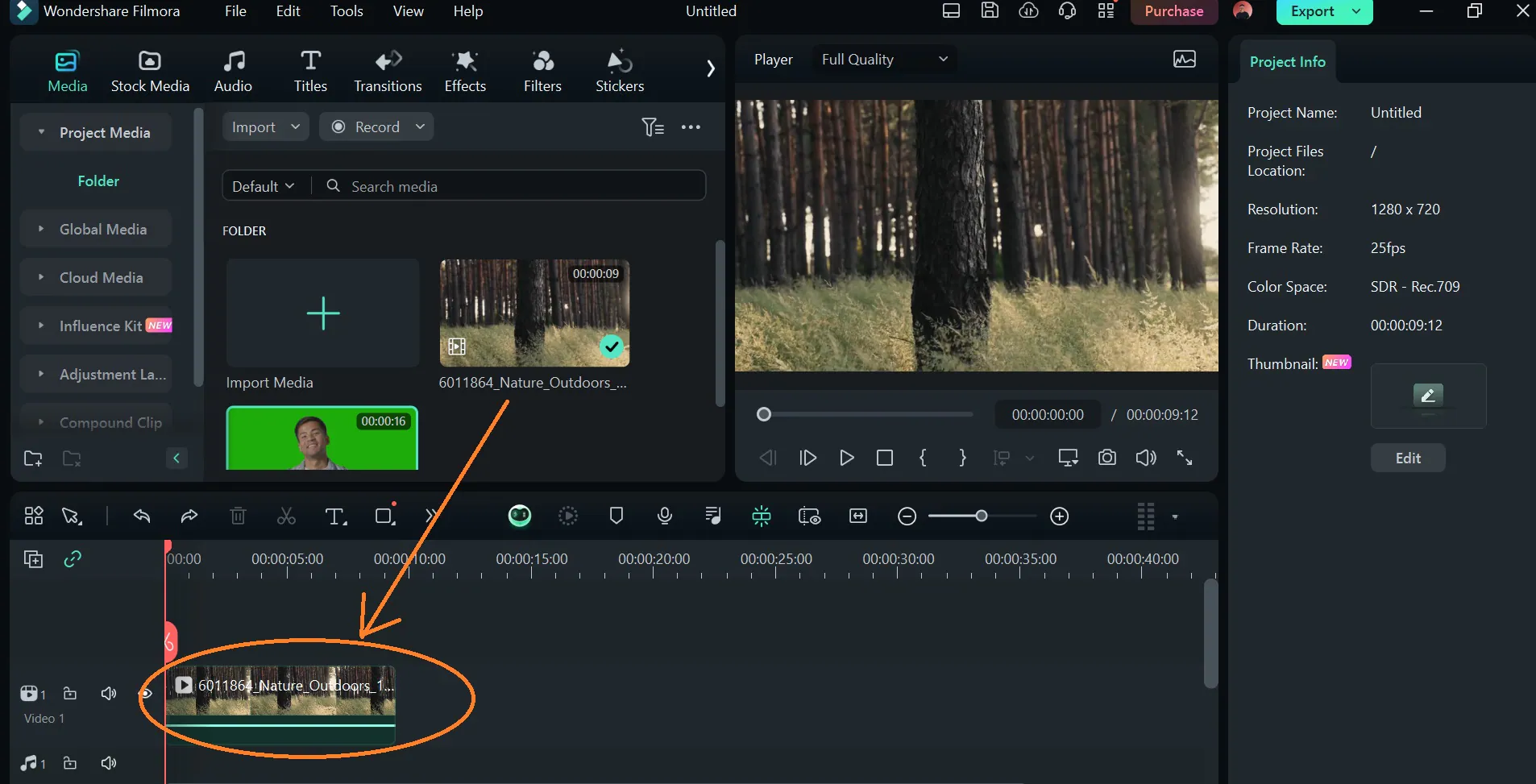 The Ultimate Guide to Choosing a Chroma Key Software