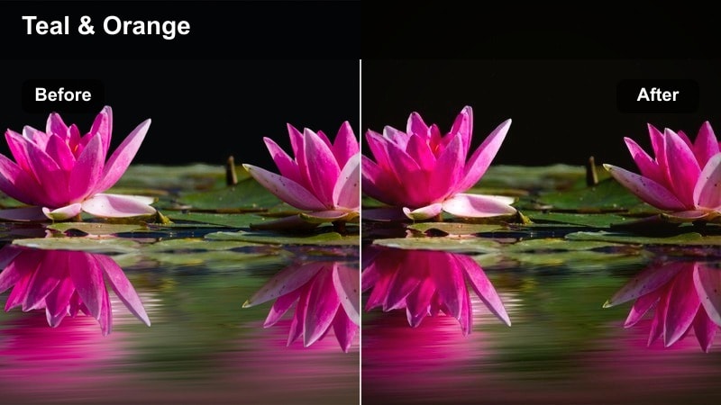 Models walking a city crosswalk at night with teal and warm cinematic tones.