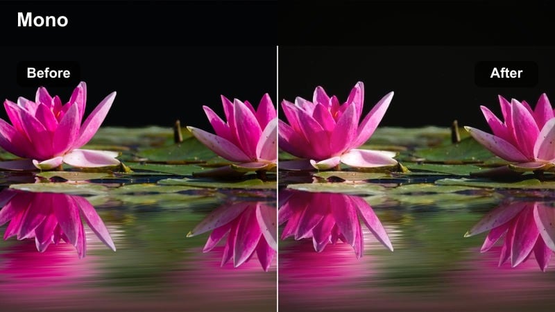 Old stone buildings in a city with near-monochrome archival tones.