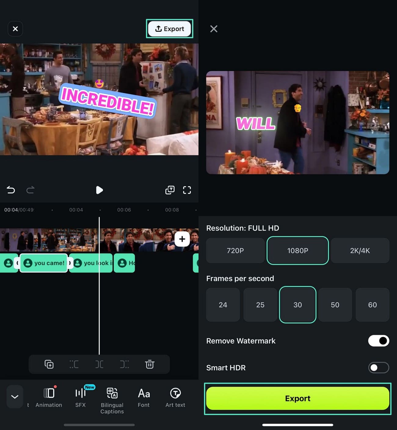 set video format and export