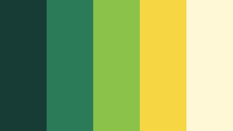 citrus pop studio product video color color palette with hex codes