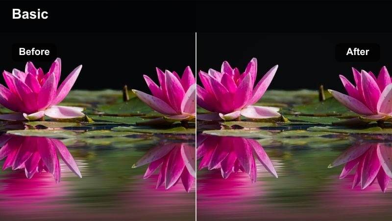 Night city street with neon lights and balanced, clean color on buildings and signs.