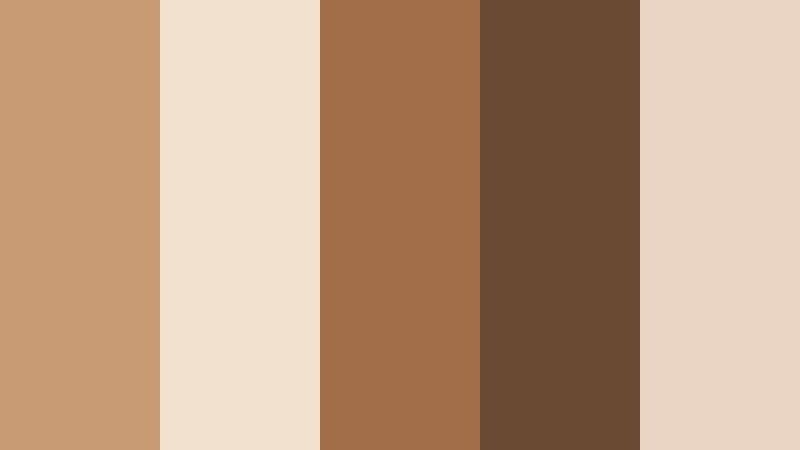 clay pot market light mocha color palette with hex codes